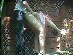 hd khiêu dâm lớn tits hd blowjob hd vàng trang web xxx hay hd milf hd cạo